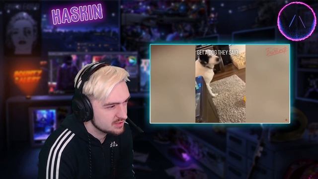 НУ ЧЕ ОЧКОШНИК?) РЕАКЦИЯ на ЗАСМЕЯЛСЯ ПРОИГРАЛ/ Лучшие Приколы смотреть онлайн