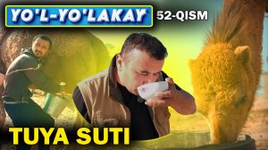 YO’L YO’LAKAY 52-qism TUYA SUTI FOYDASI. (QASHQADARYO)