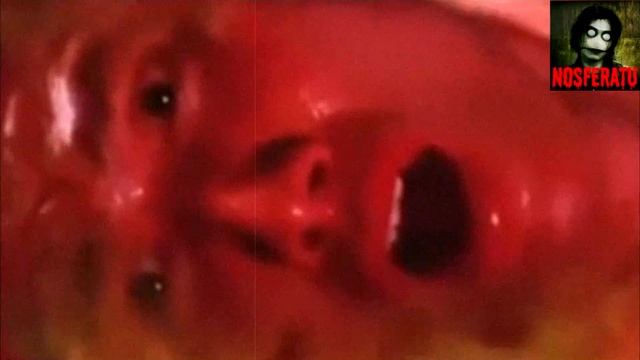 Из ада. Страшные истории на ночь 🫣🫣🫣 смотреть онлайн