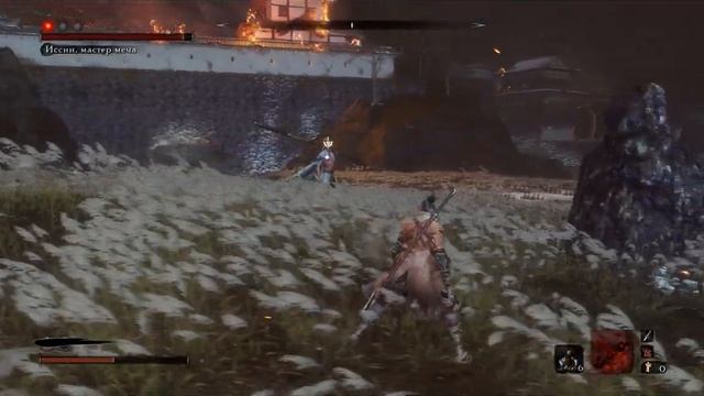 Секиро, Иссин, мастер меча