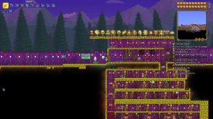 как призвать пиратское нашествие в Terraria