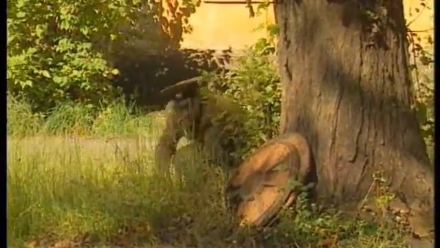 Марсово поле №87 (08.10.2000) смотреть онлайн