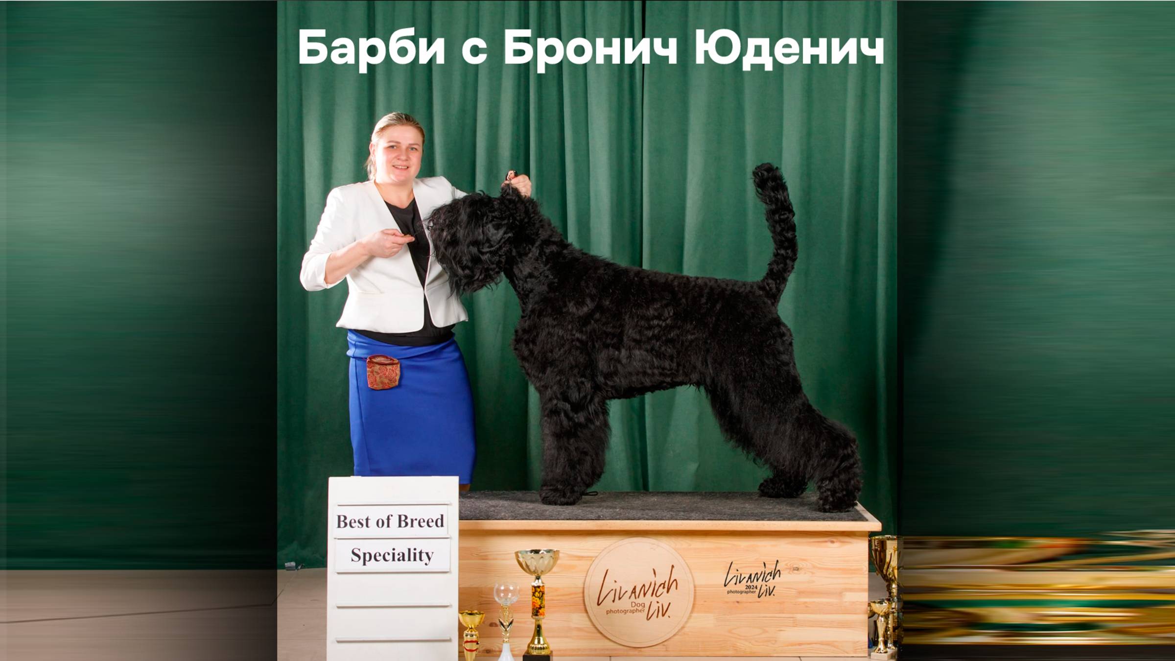 Тайрон на монопородной выставке Русских черных терьеров стал Лучшим представителем породы. смотреть онлайн