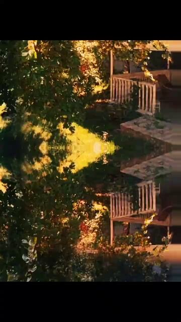 фото #дерева #сад #монтаж #монтажвидео #фото #фотомонта? смотреть онлайн