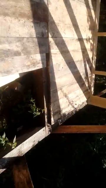 Строим сарай смотреть онлайн