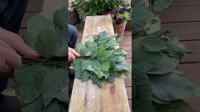Как из Ольхи вязать веники для бани // Knitting a Alder Broom for My B смотреть онлайн