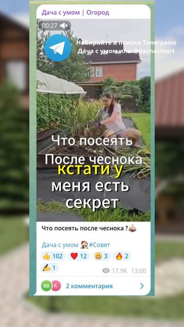 Секрет успешной посадки чеснока: Выращивайте крепкие смотреть онлайн