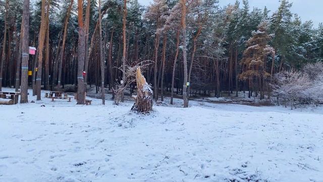 Солнечная зима и тлеющие отстойники, контрасты природ