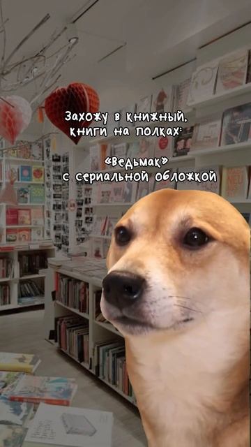 Когда захотел #почитать что-то кроме классики 🫠 #книги #книжный #мем #прикол #смешно #юмор #мемы смотреть онлайн