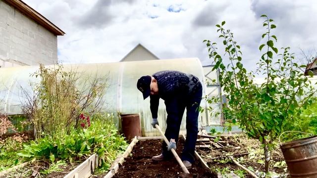 Еще одна грядка клубники☘️🍒