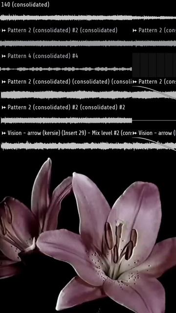 Как Сделать Луп в Стиле Ken Carson, Ginseng (тг: dragnloops) #flstudio #флс смотреть онлайн