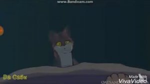 Коты-Воители: Кленовница (Дочь Зла)