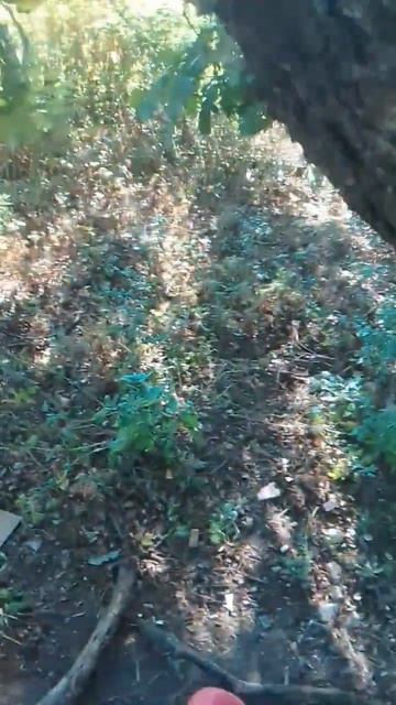 пришёл в домик на дереве который построил мой папа со смотреть онлайн