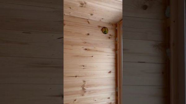 МОДУЛЬНЫЙ ДОМ ИЗ СИП ПАНЕЛЕЙ 30 м2 | Lite Mod