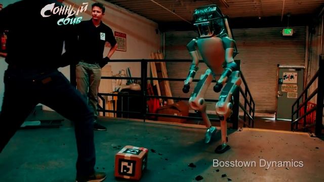 СОННЫЙ #20 | coub best | mega cube лучшее | лучшие приколы июнь 2019 | видео до слез | chillout смотреть онлайн