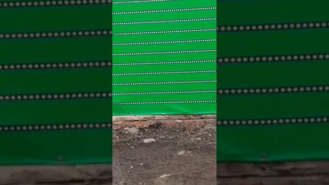 АКБ НЕ СДАЛА НА ЛОМ ЗА 266 ГРН, ВЕЗУ В СПЕЦМАГ ПО ПРОДАЖЕ смотреть онлайн