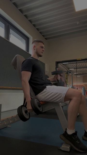 Упражнения на бицепс молотки сидя на скамье 3х 10-12 смотреть онлайн