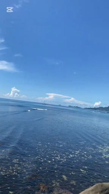 Сейшелы смотреть онлайн