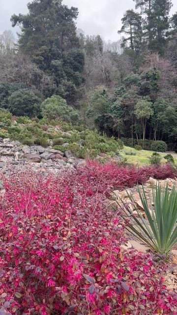 Удивительная природа Кавказа | Эглет