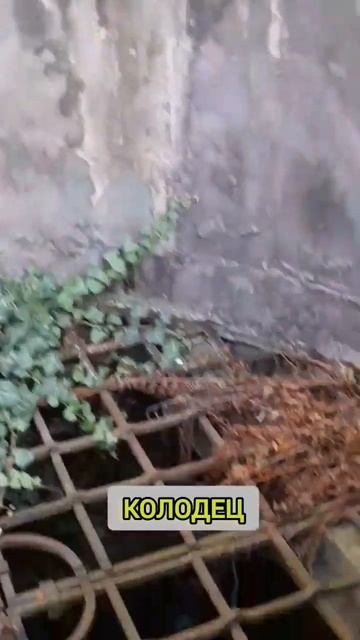 Мерзебург.Колодец замка #positivity #германия #путешествия смотреть онлайн