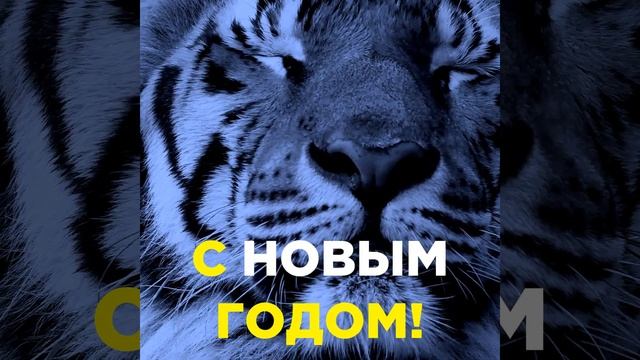 КИТАЙСКИЙ НОВЫЙ ГОД НАСТУПИЛ! смотреть онлайн