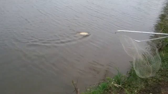 Можете не верить ,можете проверить,а я лучше покажу.