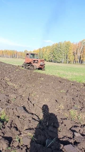 ДТ-75 почтальон пашет зябь с дымком смотреть онлайн