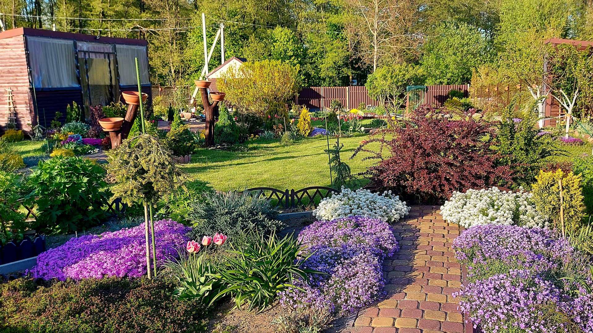 Моя прекрасная дача 07.05.2025 г.🤗💛💜💙💚🧡 смотреть онлайн