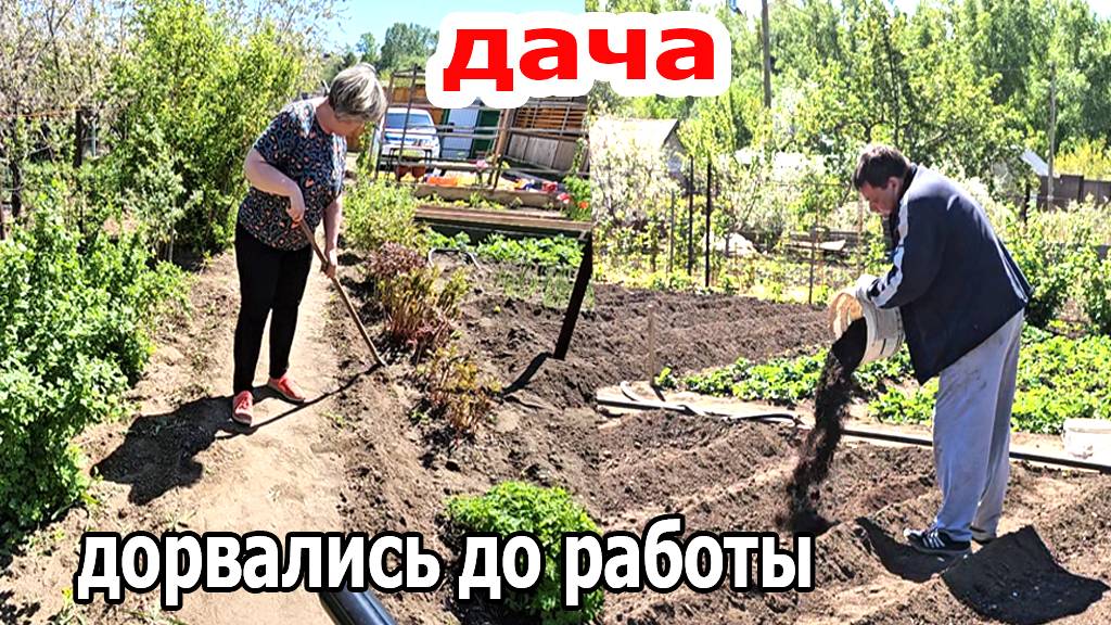 Дача.Доделали грядки.Ждем тепла.Покажу все свои посадки.Май 2025 смотреть онлайн