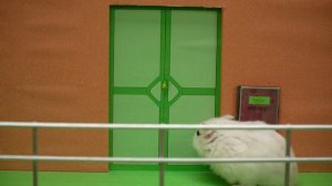 ТОП-10 СТРАШНЫХ МОНСТРОВ в серии «Хомяк» Побег из лабиринта монстров