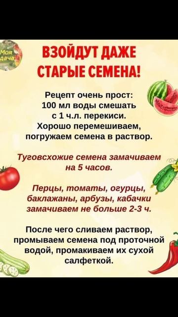 Взойдут даже старые семена. смотреть онлайн