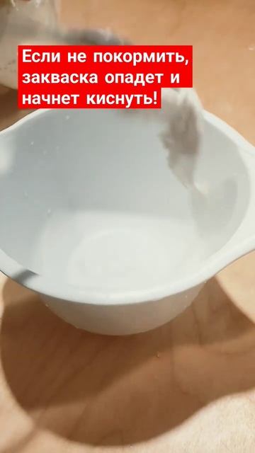 Как кормить ЗАКВАСКУ #закваска #рецепт #деревня смотреть онлайн