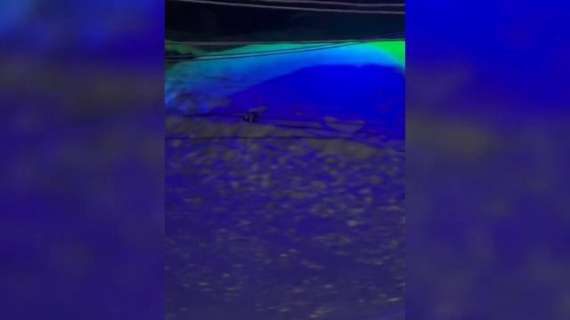 Карпаты 2024 (ТВ версия)