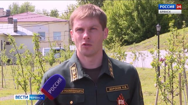Тополь Победы