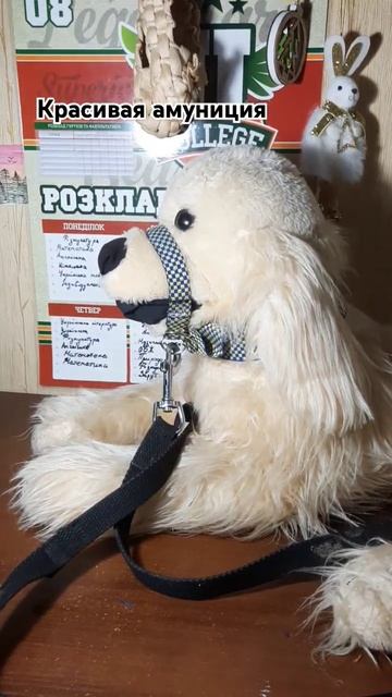 Амуниция красива что с шить? смотреть онлайн