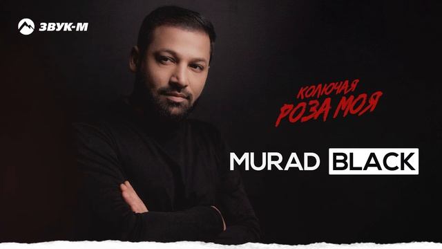 Murad Black - Колючая роза моя | Премьера трека 2025 смотреть онлайн