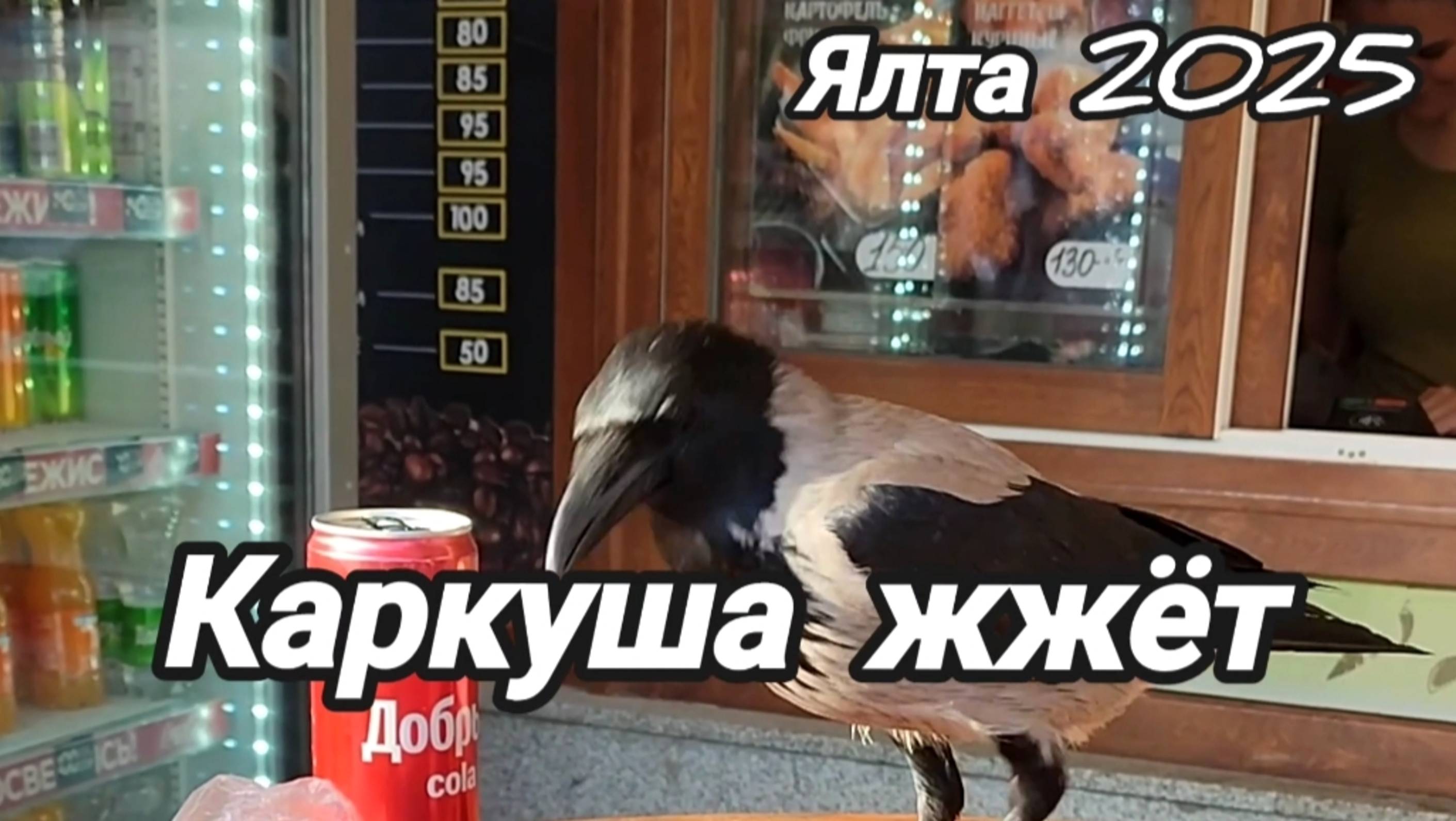 Каркуша жжёт. Ялта 2025 смотреть онлайн