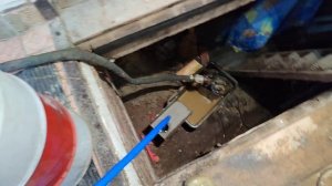 Абиссинская скважина в гараже//Начало сезона 2025//#яаби?