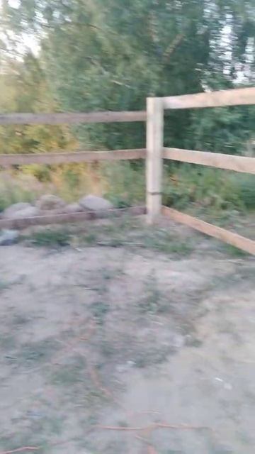 загон для кур. сарайчик и выгул. начало постройки смотреть онлайн