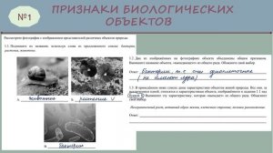 ВПР_БИОЛОГИЯ № 1_5 класс