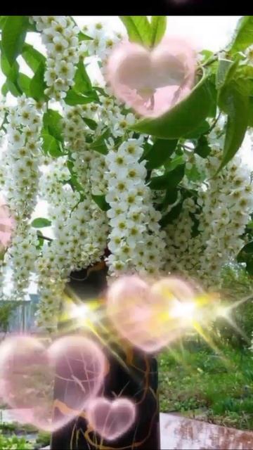 🥀🌺 смотреть онлайн