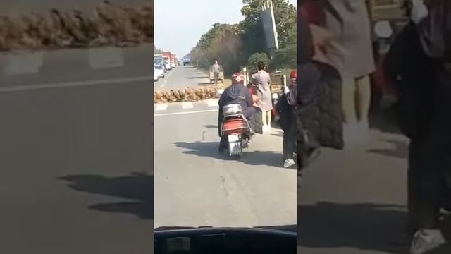 Смешные утки! смотреть онлайн