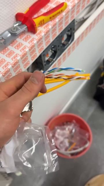 От розеток до подвала: жизнь рабочего в Европе день 174 ? смотреть онлайн