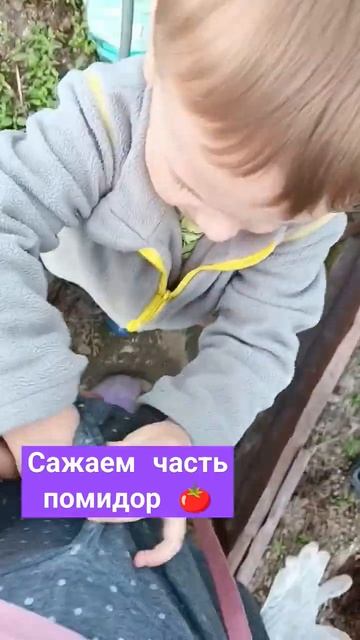 сажаем помидоры 🍅. /трава растёт смотреть онлайн