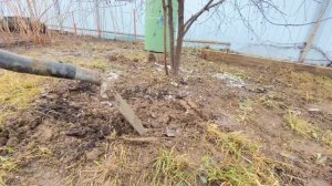 Секреты Ухода за Вишней  для Максимального Урожая