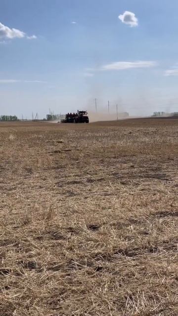 Посев Рапса! смотреть онлайн