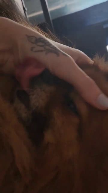 доброе утро