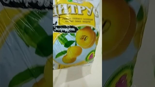 Любимые #россия #пересадка лимона #лето2024 #🍋🍋🍋🍋🍋