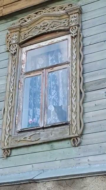 Внимание! Кашира! 🦖 смотреть онлайн