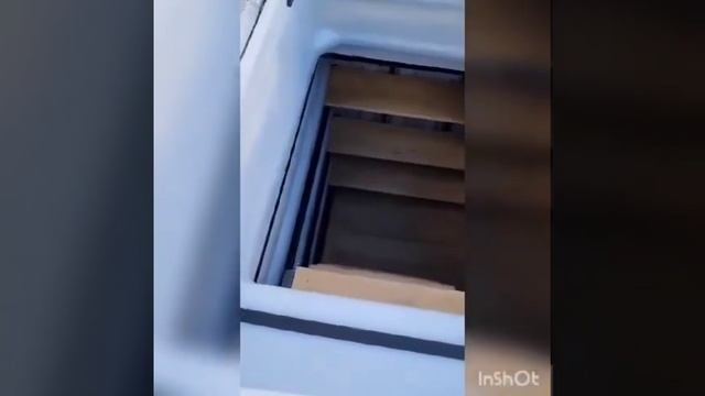 погреб смотреть онлайн